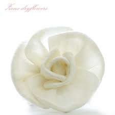 Check spelling or type a new query. Natural Bulk Sola Grass Flowers Wood For Floral Decoration Buy Bulk Sola Flowers Natural Sola Wood Wood Flowers Product On Alibaba Com