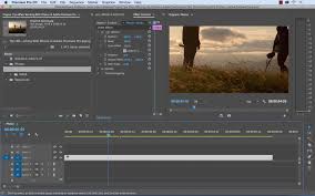 Adobe premiere pro has tons of effects available and preset in the software, under video effects. 7 Great Tips For Working With Photographs In Adobe Premiere Pro Diy Photography