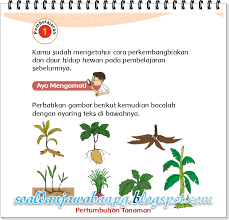 Kunci jawaban soal ulangan tematik kelas 1 sd tema 4 keluargaku subtema 1 anggota keluargaku. Kunci Jawaban Buku Siswa Kelas 3 Tema 1 Subtema 4 Halaman 152 153 Soal Dan Jawaban