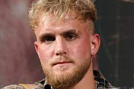 Последние твиты от paul paul (@jakepaul). Youtuber Jake Paul Being Investigated For Driving On Protected Puerto Rico Beach The Verge