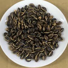 Image result for Cyphostemma mildbraedii