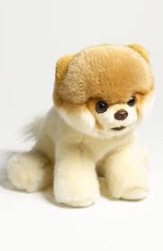 Gund Boo Worlds Cutest Dog Stuffed Animal Nordstrom Wallpaper With Cute Puppies High Resolution For Smar World Cutest Dog Boo The Cutest Dog Dog Stuffed Animal