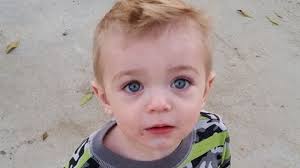 Fundraiser by Maureen Serenity Bates : Logy Bear's Journey