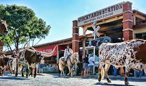 Maybe you would like to learn more about one of these? Fort Worth Herd Twice Daily Cattle Drive Fort Worth Stockyards