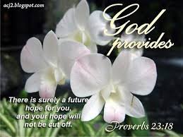 Best 15 Delicate Orchid Flower Quotes Flower Quotes Orchids Beautiful Rose Flowers