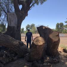 Tucson interagency fire center 2646 e. Cord Firewood In Tucson Firewood Tucson Az Phone Number