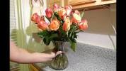 Floral Foam How To Arrange Flowers