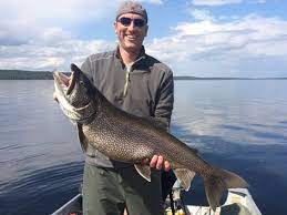 Canadian Fly In Fishing Trips Exceptional Lake Trout Fishing At Sydney Lake Lodge In Ontario Canada Lake Trout Fishing Fishing Lodge Trout Fishing