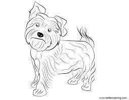 908x1520 astonishing yorkie puppy color dog coloring page wecoloringpage 1024x1365 coloring pages yorkie page elegant for free beautiful 2540x3313 yorkie printable coloring pages page outstanding yorkies Pin On Drawing Patterns