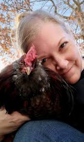 Friendly and protective rooster for adoption