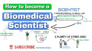 Candidates must prossess a degree in sciences, biotechnology, biomedical, medical, veterinary, and life sciences related studies. Job Role Salary Of A Biomedical Scientist In A Medical Lab Biomeducated Youtube
