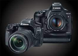 Techinfo Best Dslr Cameras For Wildlife Photography Best Canon Camera Best Camera For Photography Best Camera