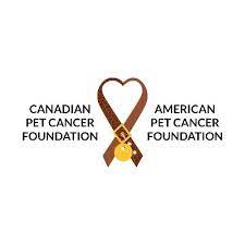 Our mission is to fund the research & adaptation of the newest advancements in human cancer care to better diagnose and treat cancers in cats & dogs. The Pet Cancer Foundation Petcancerfund Twitter