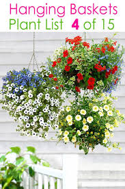 Whether you have a dozen baskets patriotic palette. 15 Beautiful Flower Hanging Baskets Best Plant Lists A Piece Of Rainbow