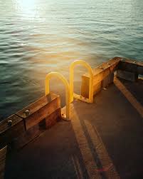 Harry Sohal (@harrysohalphoto) • Instagram photos and videos