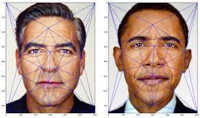 Triangulations and face morphing