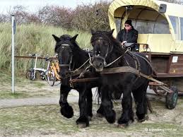 Juist 21 Tipps Fur Deinen Urlaub Im Towerland Travelinspired