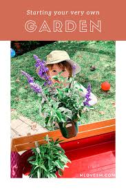Follow these tips to have fresh greens and even when it's cold outside, you can learn how to start an indoor garden. How To Start An At Home Garden M Loves M