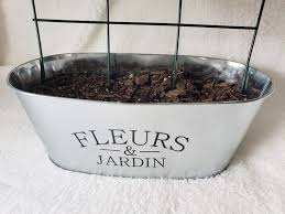 $1 river rocks + acrylic paint + $1 spray sealer. Dollar Store Fairy Garden Simple Diy Summer Decor Tales From Home