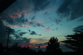 Sounds perfect wahhhh, i don't wanna. Beautiful Scenery Quotes Tumblr Photography Pretty Sky Trees Blue Pink View Nature Ocean Scenery Dogtrainingobedienceschool Com