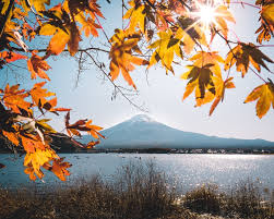 Five Awesome Mount Fuji Day Trip Itinerary Ideas Spiritual Travels