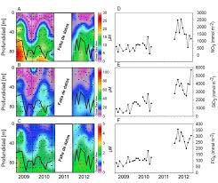 Algunos ácidos silícicos simples han sido identificados. Distribucion Vertical Y Temporal De Nutrientes Disueltos A Nitrato Download Scientific Diagram