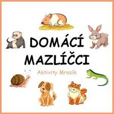 Čarodějnice bývají spíš zlé pohádkové bytosti. Domaci Mazlicci Nezarazene K Predmetu Uciteleucitelum Cz