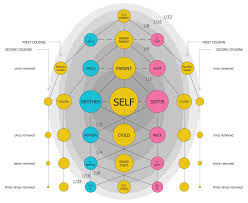 This Diagram Of Family Relationships Demonstrates The