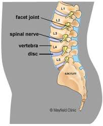 Residents in the far western fringe of sydney will be living under the same restrictions that apply to eight other local government areas in the covid hotspots. Lower Back Injuries Common Injuries Physio Mechanics
