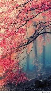 The great collection of beautiful mobile hd wallpapers for desktop, laptop and mobiles. Nature Hd Wallpapers For Mobile Hd Wallpaper Backgrounds Beautiful Wallpaper For I Pad 750x1364 Download Hd Wallpaper Wallpapertip