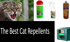 We tried nature's mace cat repellents and was very surprised at hoe effective they work. The Best Sat Repellents Natural Homemade Spray And Ultrasonic Devices