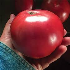 Is there a difference between these two words or is it just cultural? Expert Picks The Best Tomato To Add To Your Veggie Garden Finegardening