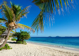 I love Fiji Islands