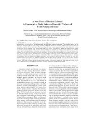 Blue provides a needed contrast for stark white kitchens and. Pdf A New Form Of Bonded Labour A Comparative Study Between Domestic Workers Of South Africa And India