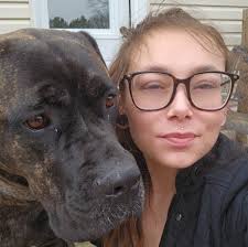 Three individuals arrested after gunshots inside residence