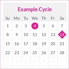 This is called the ovulation phase. When Should I Use An Ovulation Test First Response