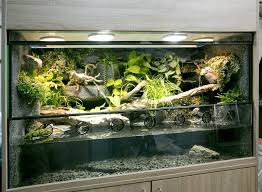 Paludarium Aquaterrarium Fur Krokodilschwanzechsen Wasserschildkroten Aquarium Reptilien Terrarium Terrarium