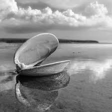 Black And White Beach Photos For Sale Black And White Beach Photos For Sale Dapixara Select From A Range Of Most Liked Black And White Beach Ph Black And White Beach Beach Photos Black And White