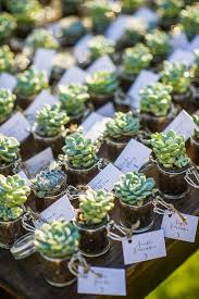 5 Diy Summer Wedding Favor Ideas The Borrowed Blue Blog Summer Wedding Favors Succulent Wedding Favors Wedding Favors For Guests