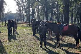 Paraguai e Brasil Juntos: A Inovação da Marinha com a Cavalgada!