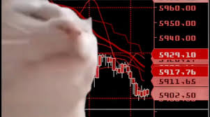 Prices surged to more than $60,000 in april 2021 for a market. 4voi4lfyeolmam