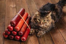 Hello :)my cute baby cat eating sausage asmr.i hope you will enjoy it.#kittens #cats #asmr #kitten #cutecats #cutekittens #babycat. Can Cats Eat Pork What You Need To Know Excitedcats