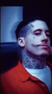 Support for Wade Steven Wilson Goup