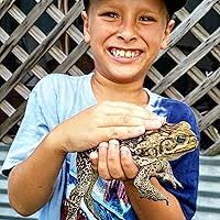 Run for the Hills, Geronimo! by Geronimo Stilton