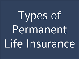 We did not find results for: 4 Types Of Permanent Life Insurance Glg America