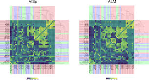This article has everything you need to decide if this is the best dating site for you, and 3 ways to make sure your profile attracts the best local singles! Single Cell Transcriptomic Evidence For Dense Intracortical Neuropeptide Networks Elife