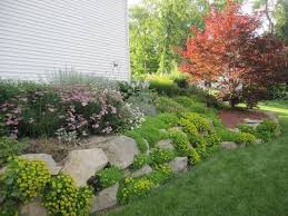 Naturstein Trockenmauer Bepflanzen Geignete Pflanzen Fur Mauerfugen Trockenmauer Pflanzen Steinmauer Garten