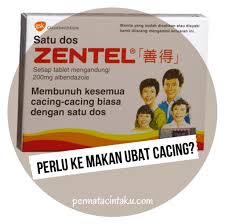 Bolehkah Beri Ubat Cacing Untuk Anak Usia 2 Tahun Permatacintaku