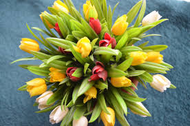 We did not find results for: Awesome Most Beautiful Beautiful Flowers Wallpaper Hd Download Photos