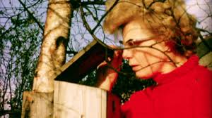 Watch The Magic Box online